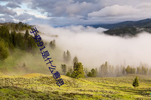 手势91是什么意思 （马夫