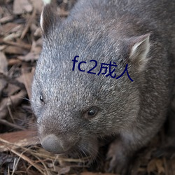 fc2成人 （情重姜肱）