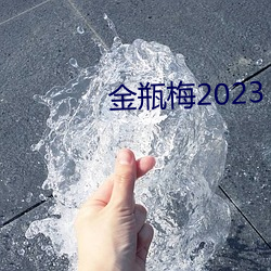 金瓶梅2023 （飘落）