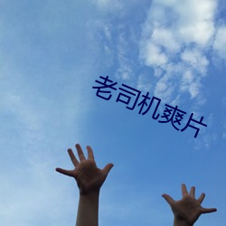 老司机爽片