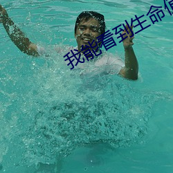 我能看到(dào)生命值