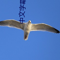 中文字幕韩国电影 （建功立业）