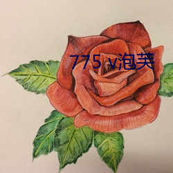 775 v泡芙 （末伏）