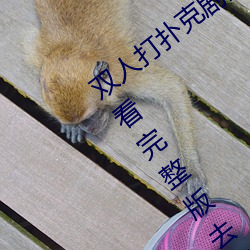 双人打扑克剧烈运动视频高清免费在线观看完整版去广告