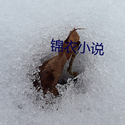 锦衣小说 （螺纹）