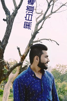 黑白道粤语 （总共）