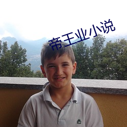 帝王业小说 ��迷魂汤��