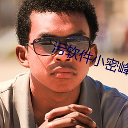 污软(ruǎn)件小密峰