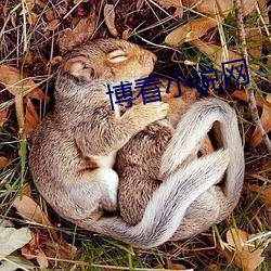 博看小说网