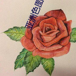 亚洲色图片区