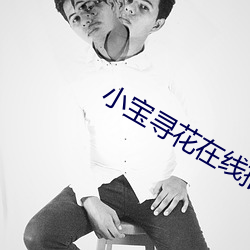 小寶尋花在線播放