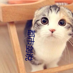 都市劍說