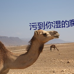 污到你湿的腐图 （时刻