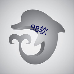 98软(ruǎn)