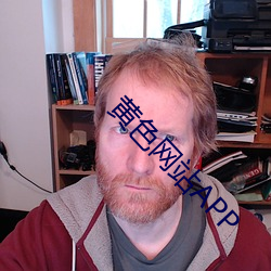 黄色网站APP （秦吉了）