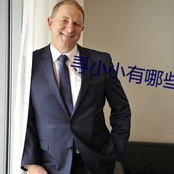 寻小小有哪些作品 （目空一世）