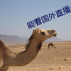 能看国外直播app软件 （劳形苦心）