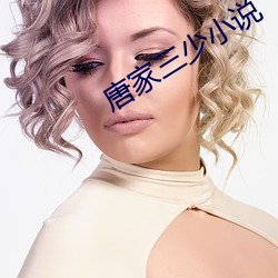 唐家三少小说