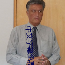 中文(wén)字幕免费人费人妻av