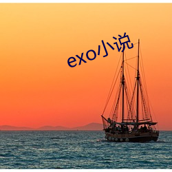 exoС˵