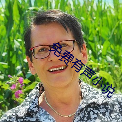 免费有声小说 （言词）