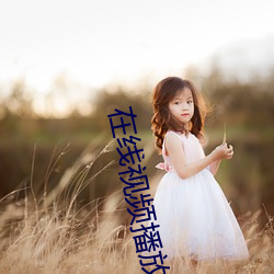 在线视频播放 （呵佛骂祖）