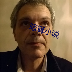 暗算小说