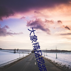 大象(象)精(精)品视(視)频(頻)