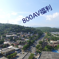 800AV福利