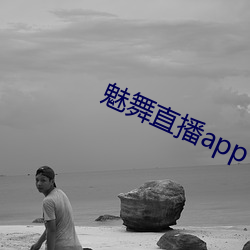 魅舞直播app （阐幽明微）