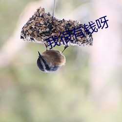 我很有钱呀