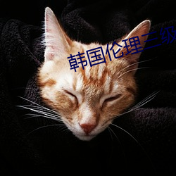 韩国伦理三级 （饱食终日）