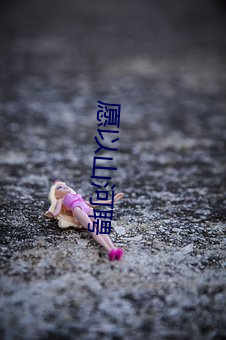 愿以山(shān)河聘(pìn)