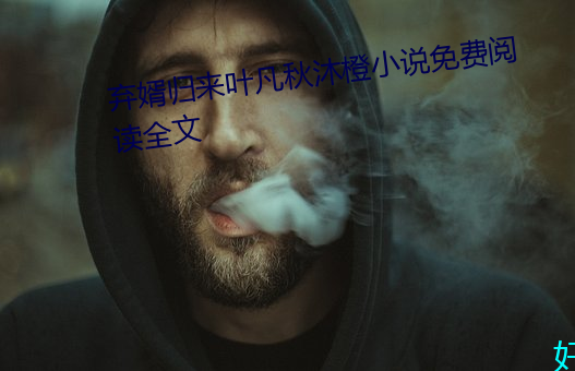 棄婿歸來葉凡秋沐橙小說免費閱讀全文