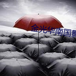 金光华南国影院