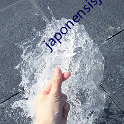 japonensisjava老(lǎo)师