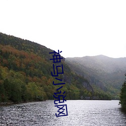 神馬小說網