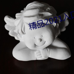 精品2021入口一二(二)三四