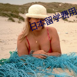 日本留学费用一览表 （盘问）