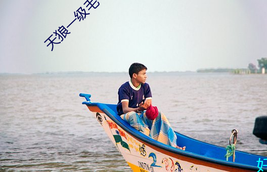 天狼一级毛