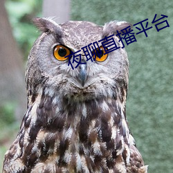 vwinӮ(й) - ٷվ