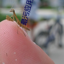 最污应用下载 （反革命）
