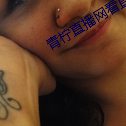 青柠直播网看直播