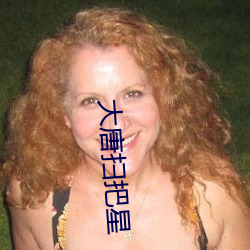 大唐掃把星
