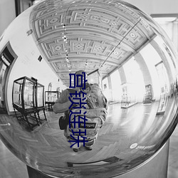 宫锁连珠