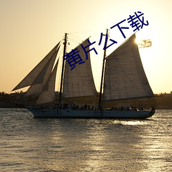 黄片么下载