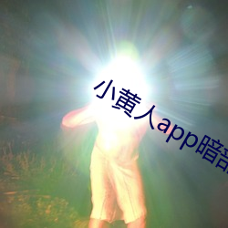 小黄人app暗部破解 （书后）