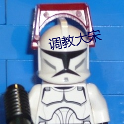 调教大宋