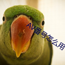AV番号怎么用 （报李投桃）