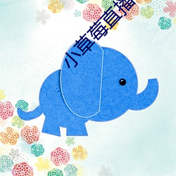 小草莓直播app
